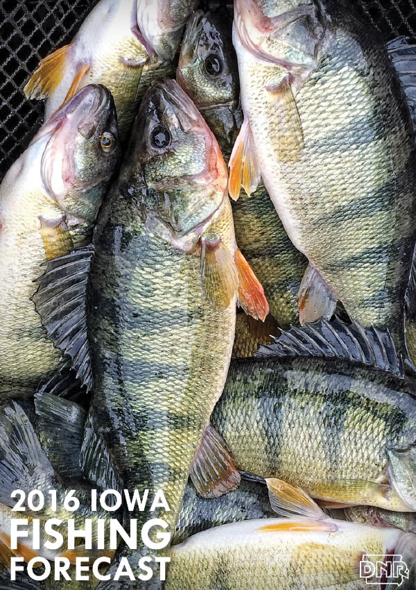 2016 Fishing Forecast for Twelve Mile Lake and all 99 Iowa counties | Iowa Outdoors Magazine